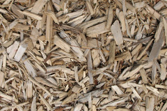 biomass boilers Carzise